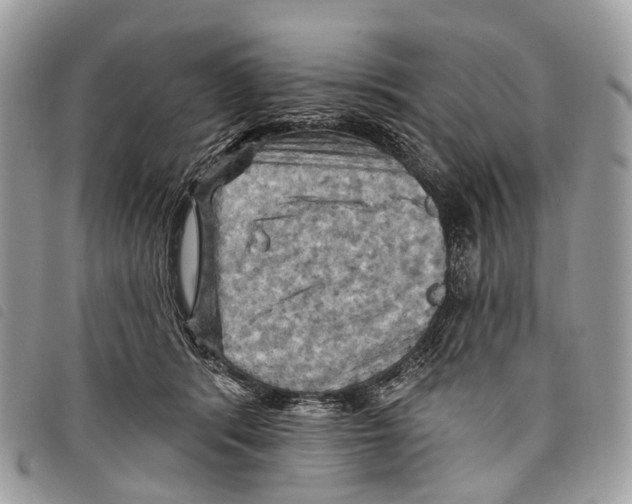 X0000097830416200804111044