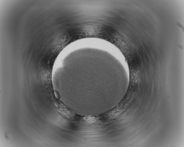 X0000097830419200804111044