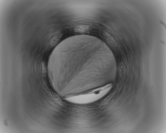 X0000097830420200804111044