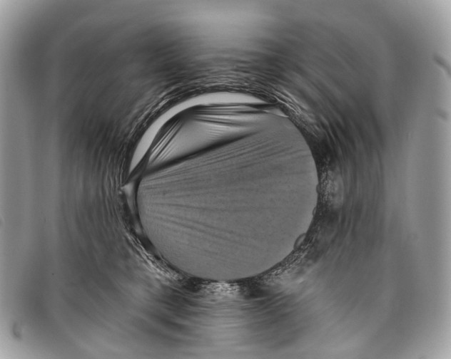 X0000097830421200804111044