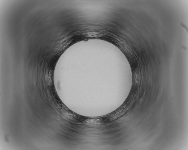 X0000097830422200804111044