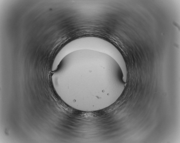 X0000097830423200804111044