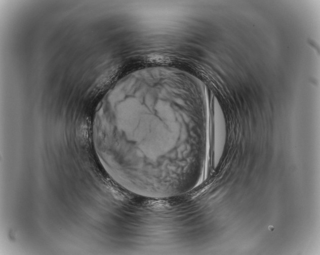 X0000097830424200804111044