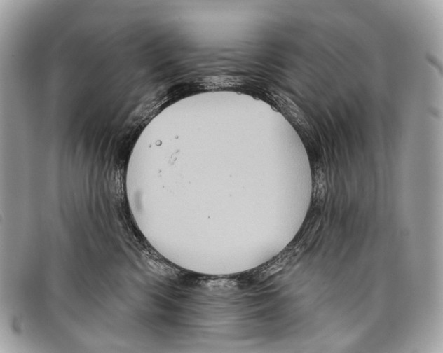 X0000097830426200804111044