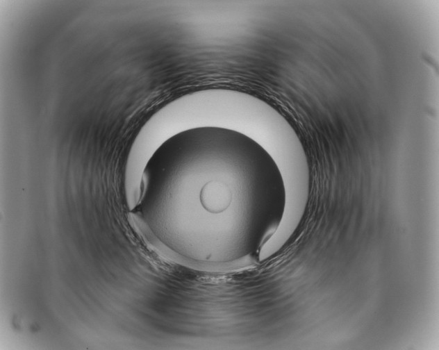 X0000097830427200804111044