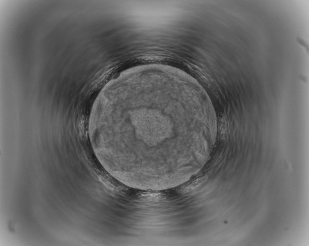 X0000097830428200804111044