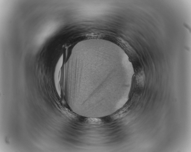 X0000097830429200804111044