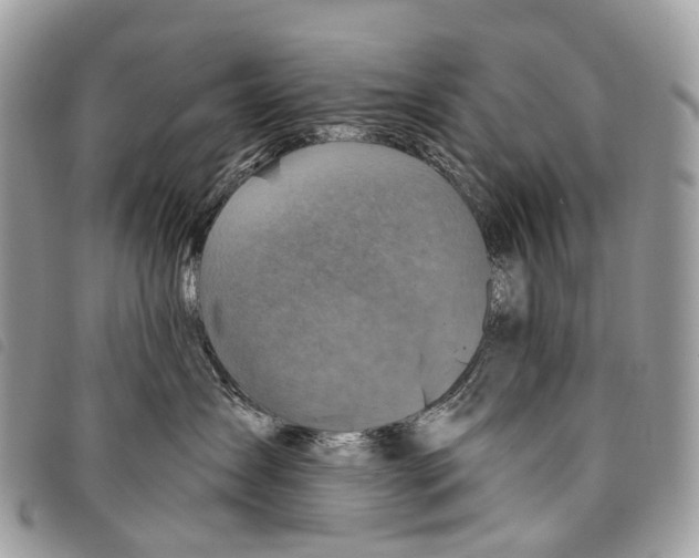 X0000097830431200804111044