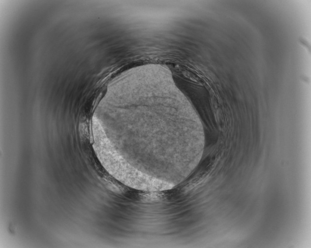 X0000097830432200804111044