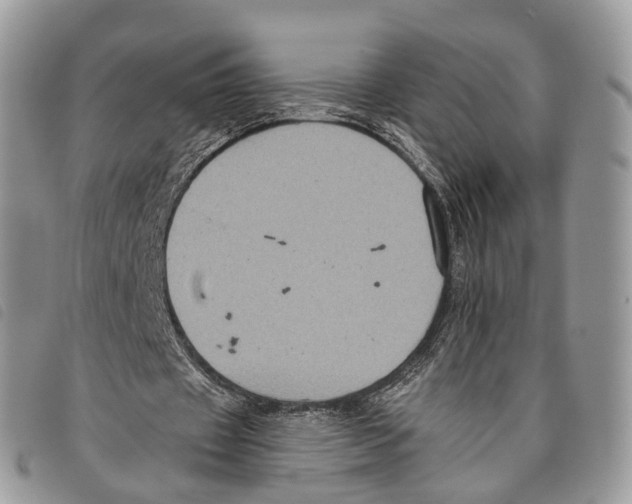 X0000097830433200804111043