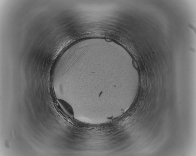 X0000097830434200804111043