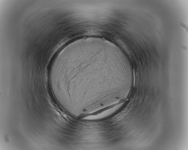 X0000097830435200804111043