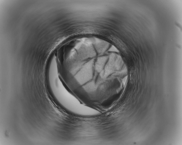 X0000097830436200804111043