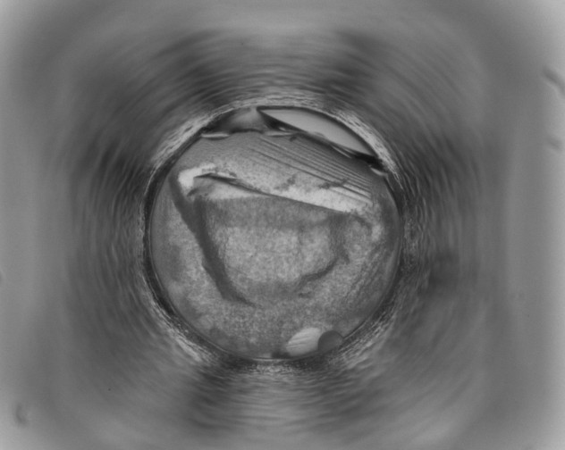 X0000097830437200804111043