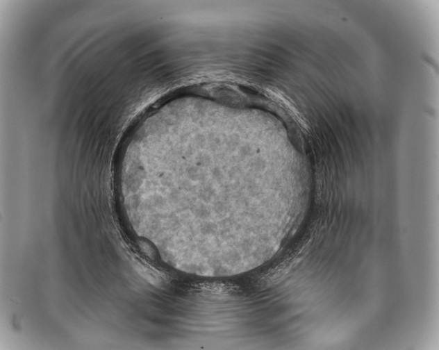 X0000097830439200804111043