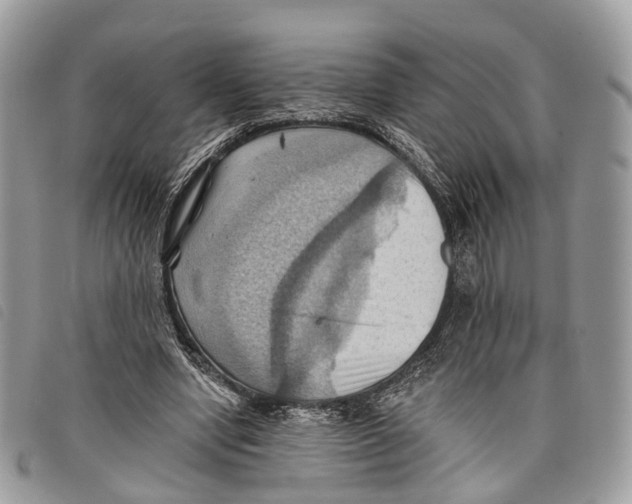 X0000097830442200804111043