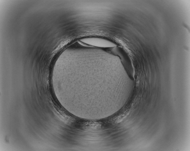 X0000097830443200804111043