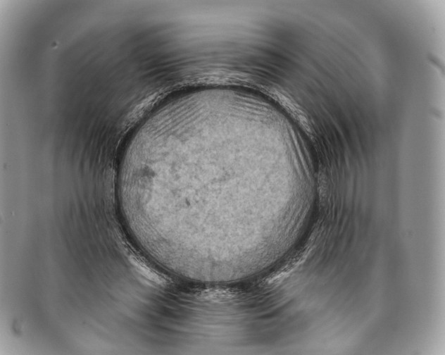 X0000097830445200804111043