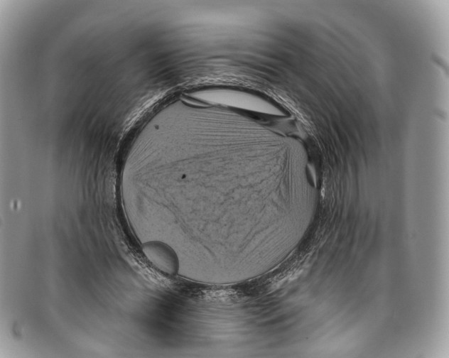 X0000097830446200804111043