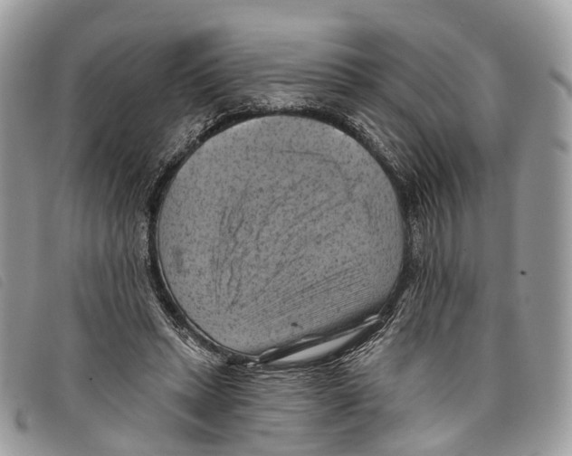 X0000097830447200804111043