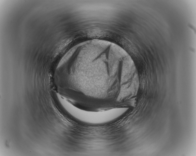 X0000097830448200804111043