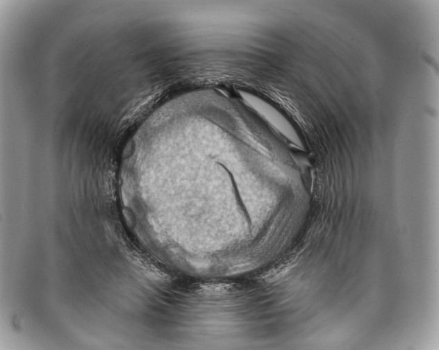 X0000097830450200804111043