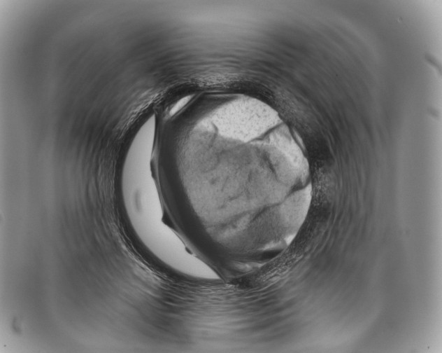 X0000097830452200804111043