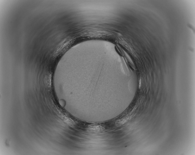 X0000097830454200804111043