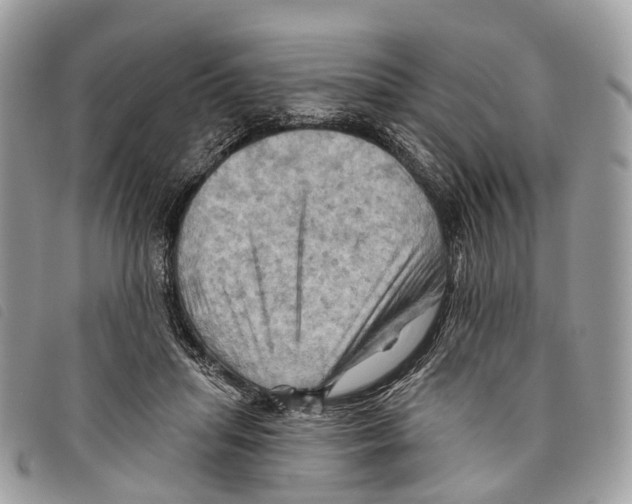 X0000097830455200804111043