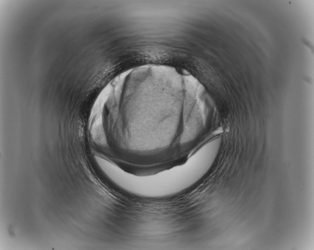 X0000097830456200804111043