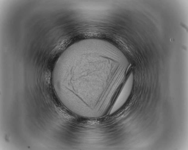 X0000097830458200804111044