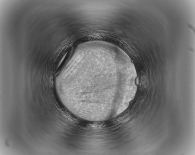 X0000097830466200804111044