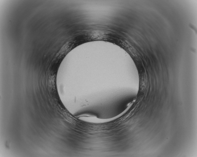 X0000097830473200804111044