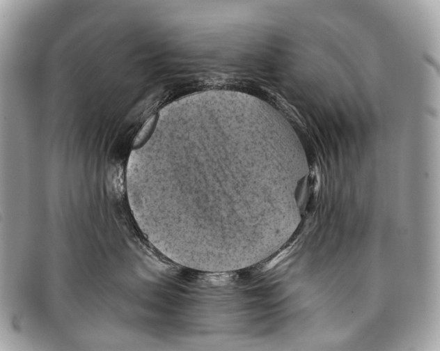 X0000097830479200804111044