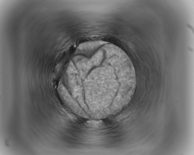 X0000097830480200804111044