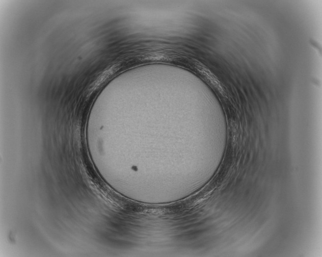 X0000097830482200804111043