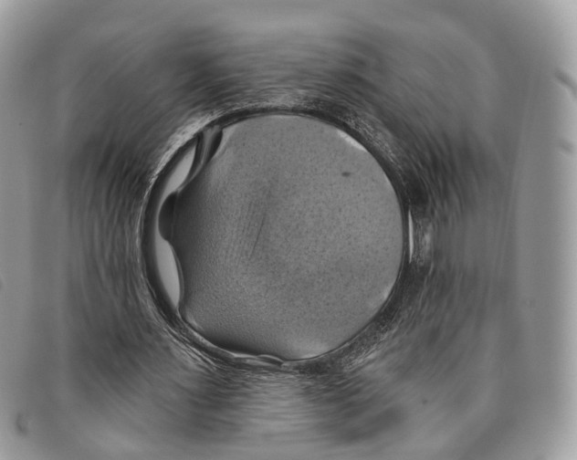 X0000097830483200804111043