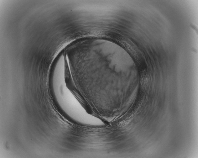 X0000097830484200804111043