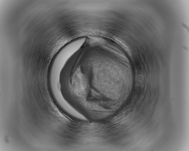 X0000097830485200804111043