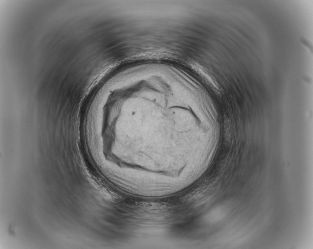 X0000097830486200804111043