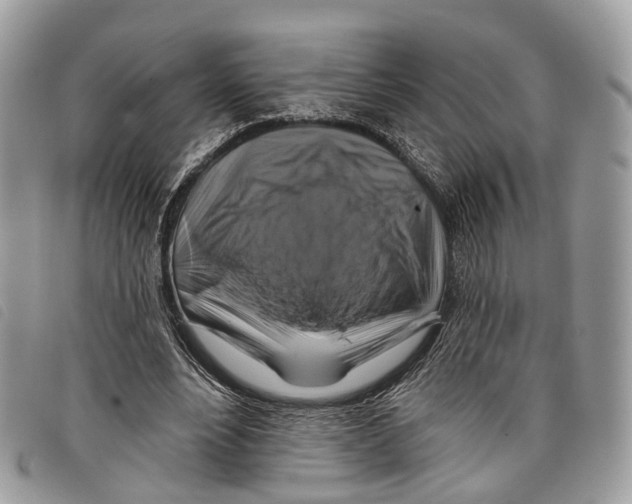 X0000097830488200804111043