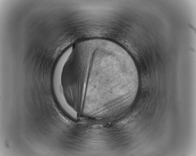 X0000097830489200804111043