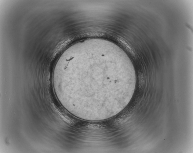 X0000097830490200804111043