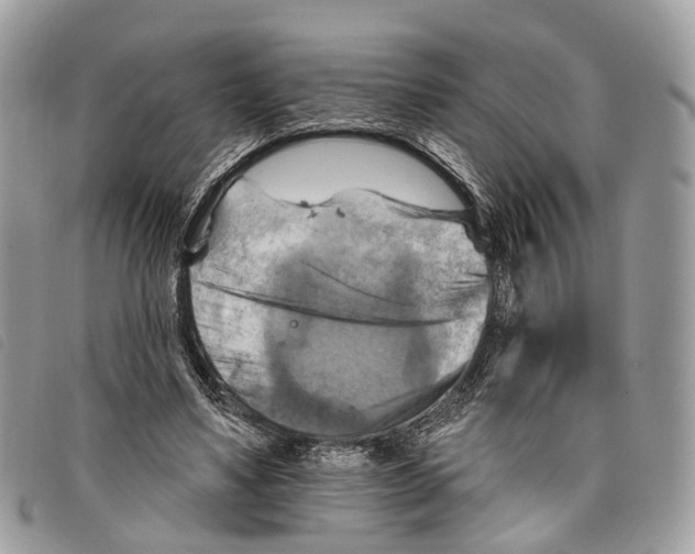 X0000097830491200804111043