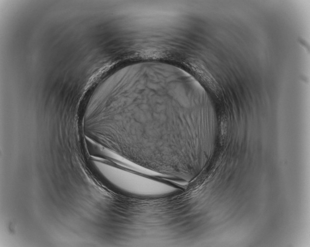 X0000097830492200804111043