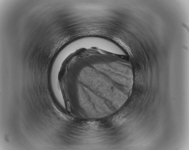 X0000097830493200804111043