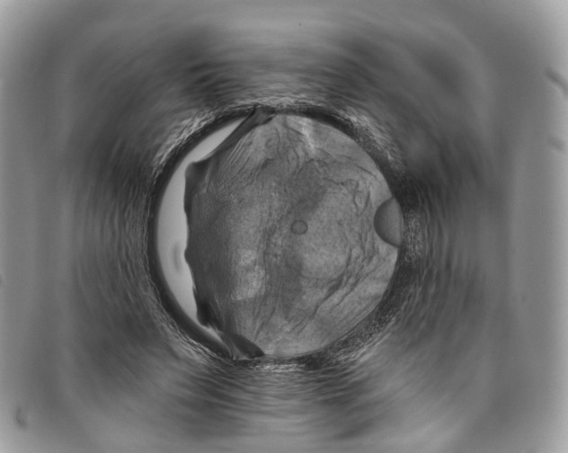 X0000097830495200804111043