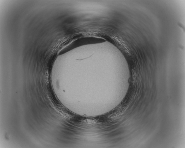 X0000097830498200804111043