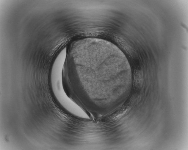 X0000097830501200804111043