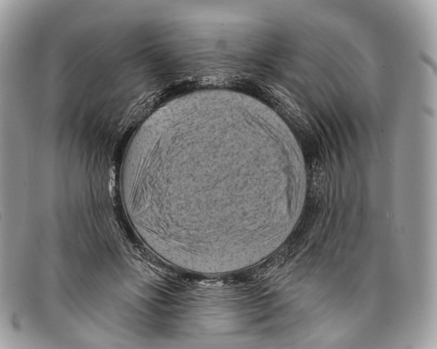 X0000097830502200804111043